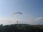 Paragliding Fluggebiet Europa » Österreich » Steiermark,Schöckel/Schöckl,Flügerl beim Soaring