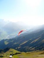 Paragliding Fluggebiet Europa » Schweiz » Bern,Niesen,Kurz nach dem Start am Niesen in Richtung Süd-Osten. Das atemberaubende Panorama ist nicht erst schon in der Luft sichtbar... Foto ist entstanden irgendwann im Juli 2006.