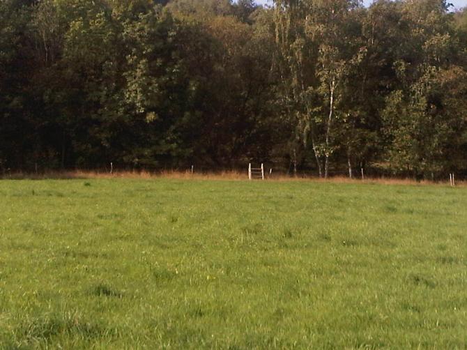 little stair to get over the fence