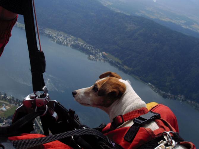 Ein wunderschöner Flug über den Ossiachersee mit Xena der Weltrekordhündin in Paragleten!