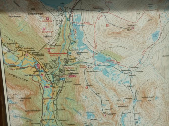 map from the surroundings of Hemsedal Grondalen, with marked take off sites... lousy quality but hopefully still helpful