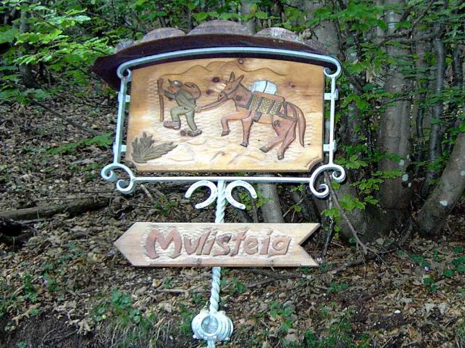 Ein Teil vom Aufstieg ist der Mulisteig.

02.08.07