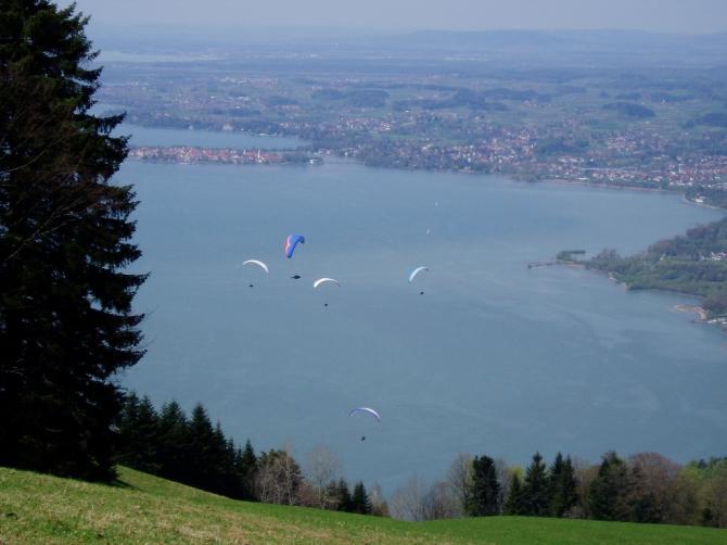 Pfänderfliegen im April