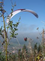 Paragliding Fluggebiet Europa » Deutschland » Bayern,Buchenberg,