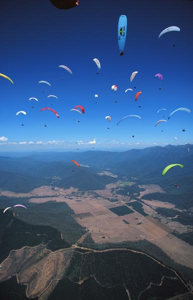 Bright (PWC98)

mit freundlicher Genehmigung
©www.azoom.ch