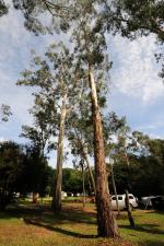 Paragliding Fluggebiet Australien / Ozeanien » Australien » Victoria,Mystic,Camp Krusty.