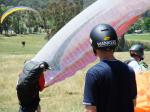 Paragliding Fluggebiet Australien / Ozeanien » Australien » Victoria,Mystic,Parawhats? Buntes Treiben am Landeplatz.