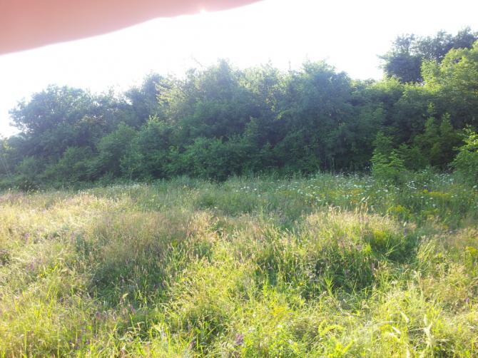 Startplatzbegrenzung nach hinten