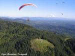 Paragliding Fluggebiet Nordamerika » USA » Washington,Tiger Mountain,Eine traumhafte Gegend