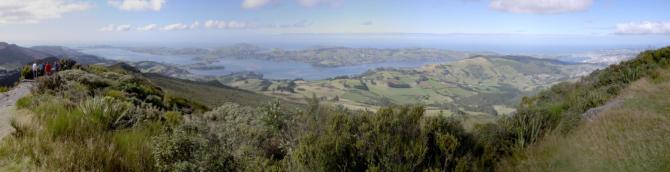 View from the aerial at Mt. Cargil (08.04.2005)