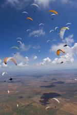 Paragliding Fluggebiet Australien / Ozeanien » Australien » New South Wales,Manilla - Mount Borah,PWC 2007

mit freundlicher Bewilligung
©www.azoom.ch