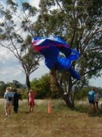 Paragliding Fluggebiet Australien / Ozeanien » Australien » New South Wales,Manilla - Mount Borah,So kann es auch gehen, wenn man bei der Landung nicht aufpasst
