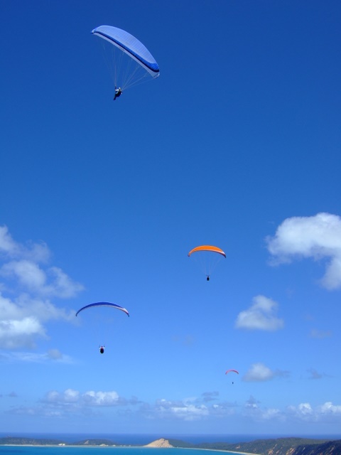 Peaceful soaring at rainbow beach.