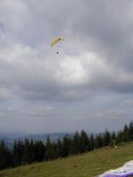 Paragliding Fluggebiet Europa » Österreich » Niederösterreich,Muckenkogel,An der Nordseite des Muckenkogels kann Mann/Frau gut soaren