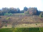 Paragliding Fluggebiet Europa » Deutschland » Rheinland-Pfalz,Bremm Calmont Hangstartgelände,Der Startplatz vom Landeplatz aus gesehen.