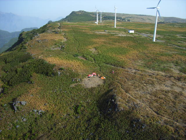 Der Startplatz zur Nordküste Madeiras ist umringt von duftenden Farnfeldern und Baumheidehängen, der Zugang erfolgt über weniger als 100m vom Ende des Feldweges der an den Windrädern vobei führt, toplanden kann man kilometerlang entlang der Kante