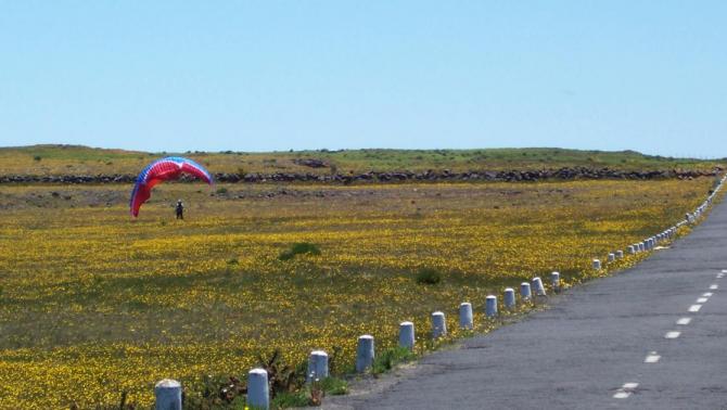 Groundhandling, Toplandung oder Aussenlandung, auf der Hochebene von Madeira, je nach Jahreszeit ein Blumenmeer