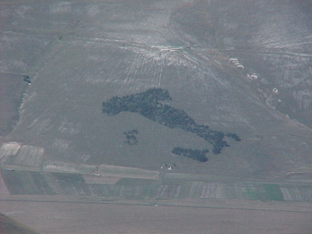 italien im baumformat ist auf der ostseite zu bestaunen