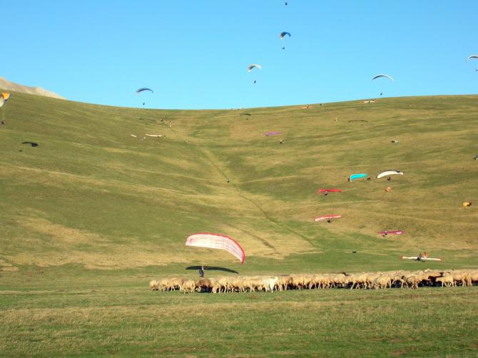 Spielhügel Rotonda 88 Hm

Viele Schafe aber auch Lupos, darum die weissen Schutzhunde.
Bild im Herbst 2006