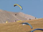 Paragliding Fluggebiet Europa » Italien » Umbrien,Castelluccio,Hier wachsen Paragleiter aus dem Boden 22.09.2004