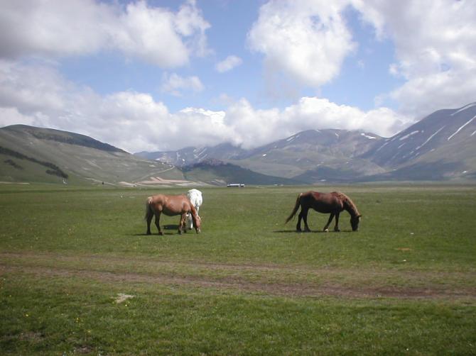 Piano Grande im Mai 2005