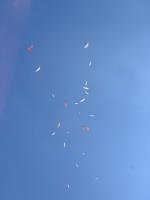 Paragliding Fluggebiet Europa » Italien » Latium,Norma,Norma: Der Hausbart- gut frequentiert beim Ligatreffen am 13.5.06