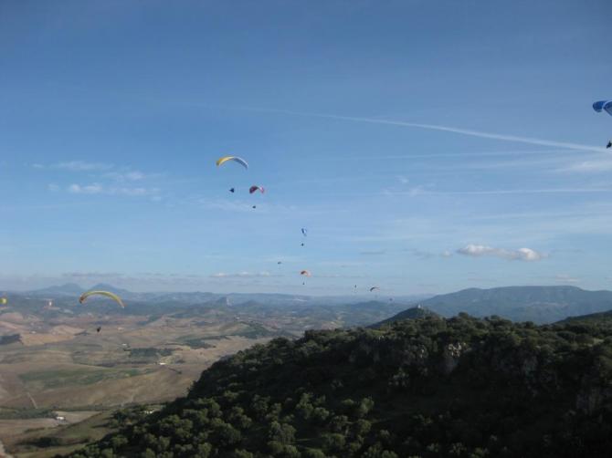 Montellano-Soaren im Pulk, November 2010