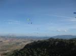 Paragliding Fluggebiet Europa » Spanien » Andalusien,Montellano,Montellano-Soaren im Pulk, November 2010