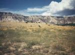 Paragliding Fluggebiet Nordamerika » USA » Colorado,Dinosaur (Blue Mountain),Die Snake Pit LZ