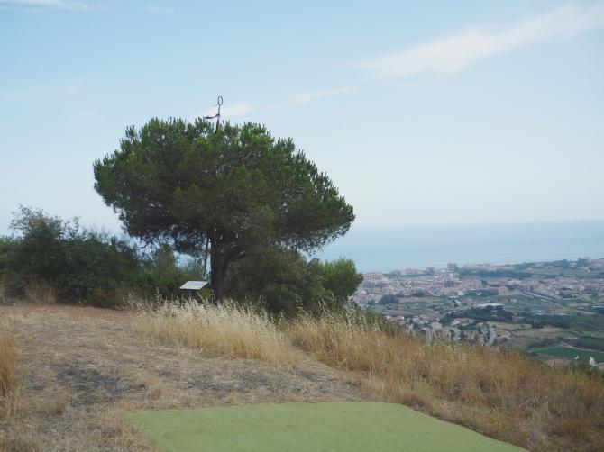 Die "traurigen Reste" der Windfahne auf dem Baum am Startplatz im Sommer 2009