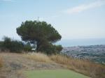 Paragliding Fluggebiet Europa » Spanien » Katalonien,Pineda de Mar / Turo de la Guardia,Die "traurigen Reste" der Windfahne auf dem Baum am Startplatz im Sommer 2009