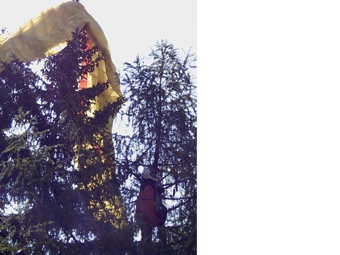 Für eine sanfte Landung eignen sich auch die dem Startplatz vorgelagerten Lärchen ;-)