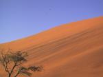 Paragliding Fluggebiet Afrika » Namibia,Sesriem – Dune Himalaya,Ja wo sind sie denn die Schirme ...