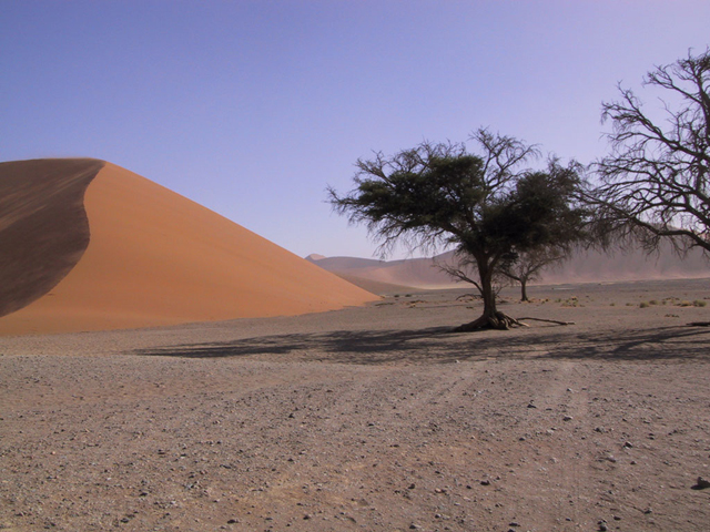 Die "Dune 45", sicherlich die beruehmteste Duene im Namib Naukluft Park, Sesriem, in ihrer ganzen Schoenheit.