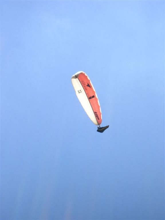 wollte mich auch mal zeigen