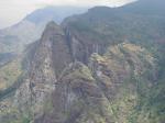 Paragliding Fluggebiet Afrika » Tansania,Miziyangembe,Auf der Hochflaeche stehen noch Regenwaelder