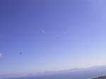 Paragliding Fluggebiet Europa » Spanien » Balearen,Puig de Sant Marti,wenn der Wind aus Ost kommt kann man gut Konvergenz fliegen zwischen der Bucht Alcudia und Pollenca. Alle sind in der Luft ganz weit oben