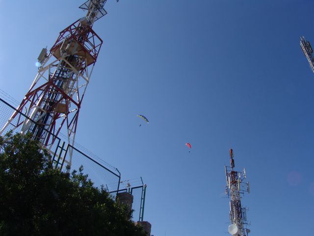 Die Antennen muss man mögen