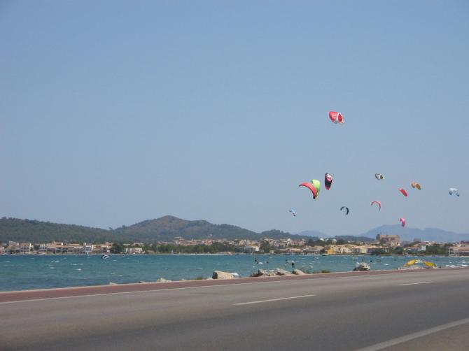 Und in der Bucht ist auch was los.