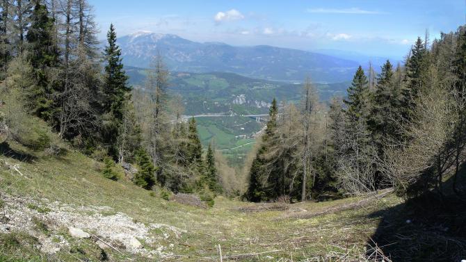 Das was man als Nortstartplatz bezeichnen könnte. Eigentlich unstartbar, dazu sind die Bäume schon zu hoch.