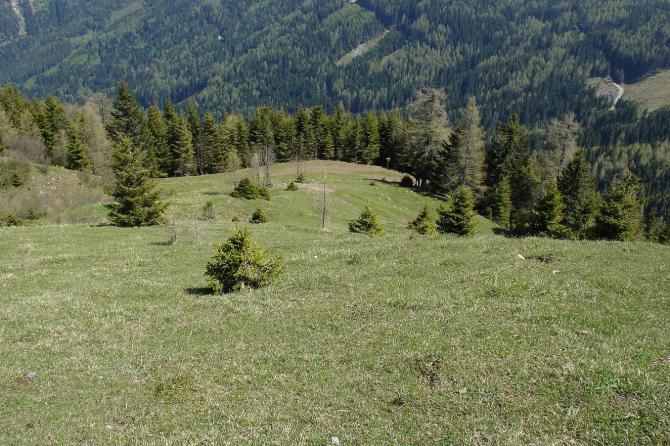 Oststartplatz. Unten sieht man die Baumreihe, die man überfliegen muss, um dann das Tal links raus zu fliegen. Unten in diesem Seitental sind keine echten Landemöglichkeiten, also besser eher hoch rausfliegen.