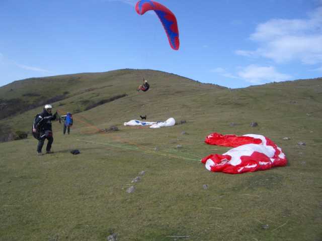 Startplatz und ideales Groundhandlinggelände auf nicht nur 1 Dutzend Schirme Platz haben