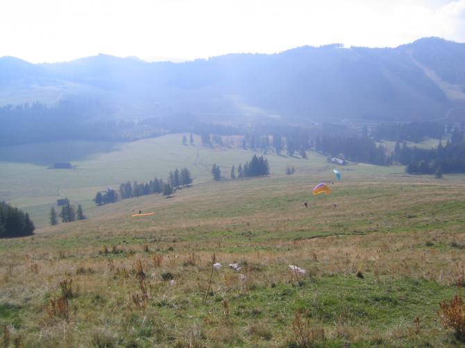 riesige SW-ausgerichtete Wiese für Aufzieh- Start- und Landeübungen