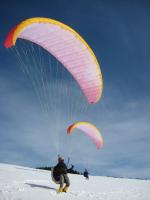 Paragliding Fluggebiet Europa » Österreich » Steiermark,Schiessling,Die Ibexe am Heulantsch! (06.02.2009)