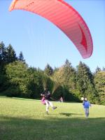 Paragliding Fluggebiet Europa » Österreich » Steiermark,Gelderkogel,Sieht schon ganz ordentlich aus.