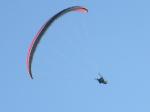 Paragliding Fluggebiet Europa » Österreich » Steiermark,Gelderkogel,Freiflieger schauen auch hin und wieder mal vorbei.