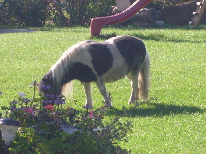 Leider das einzige Bild vom zweiten Kurstag. Ist aber auch recht süß.