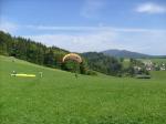 Paragliding Fluggebiet Europa » Österreich » Steiermark,Gelderkogel,Und so soll eine saubere Landung aussehen!