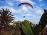 Paragliding Fluggebiet Europa » Portugal » Madeira,Falesia,Nicht hoch aber stundenlang soaren, und die Bar nebenan Cantina el Mexicano ist jeden Tag geöffnet, kann es etwas besseres in einem Fliegerleben geben? kann schon...
