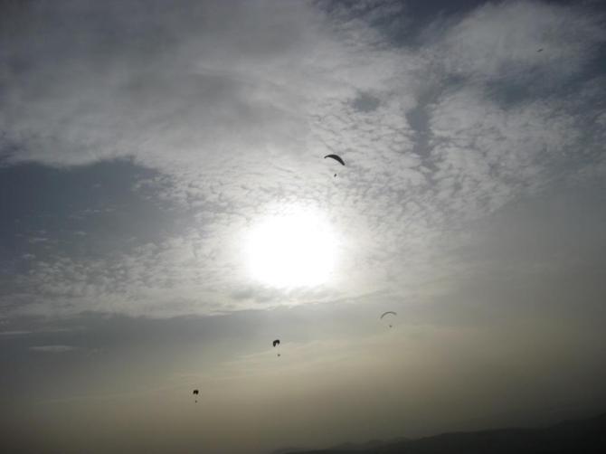 Abendflug am Poniente